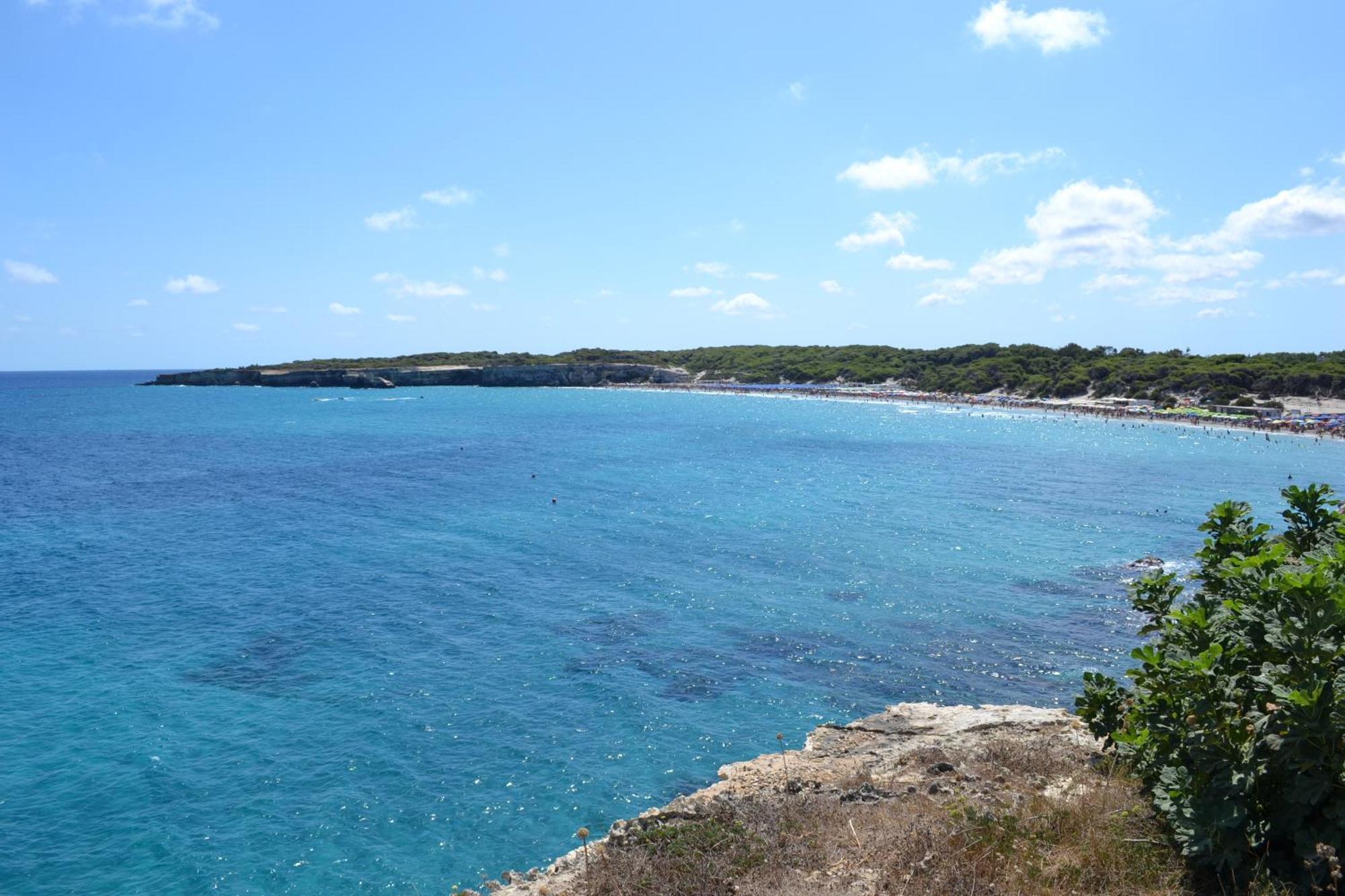 トッレ・デル・オルソ Terrazza Sul Mareヴィラ エクステリア 写真